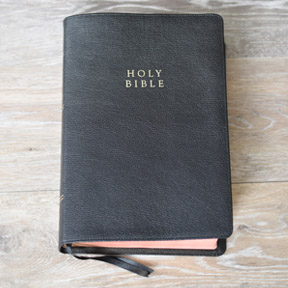find the best bible for you